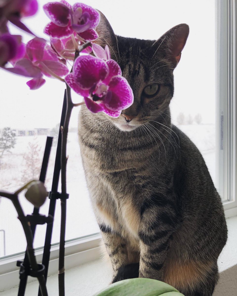 Lynnee 🦖 🏹 tweet media