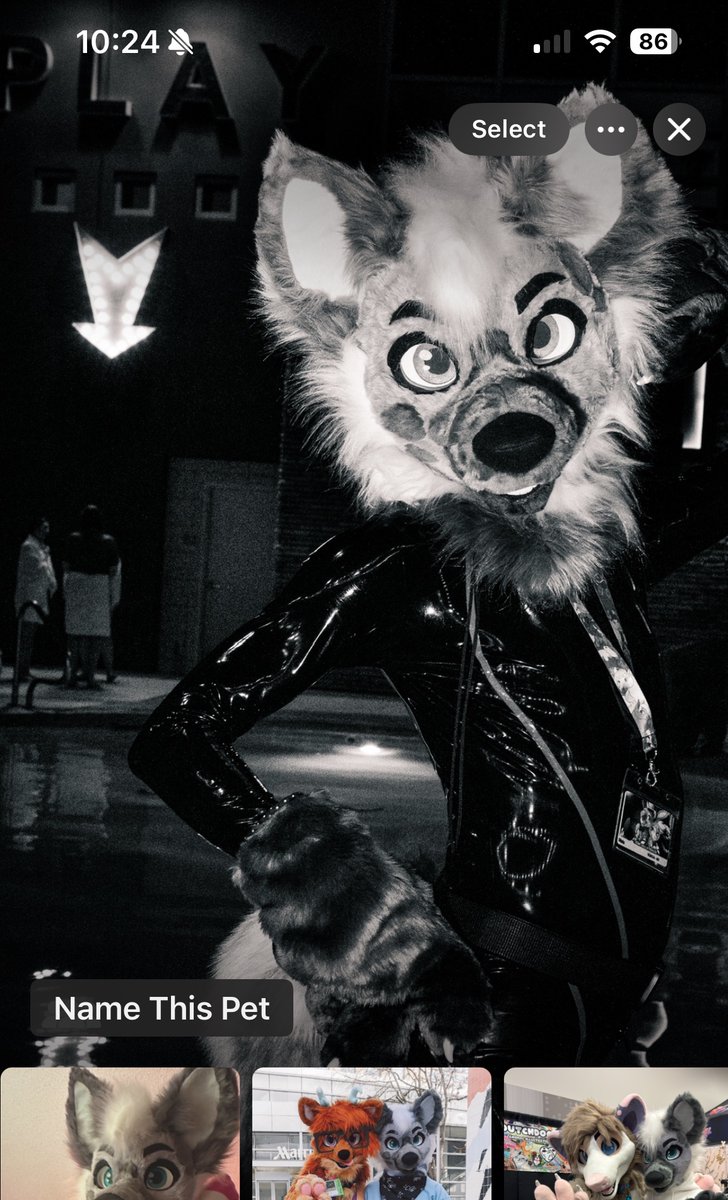 wooow my phone has identified me as a pet 😤😤