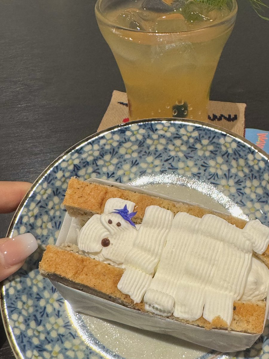 티미긩 tweet media