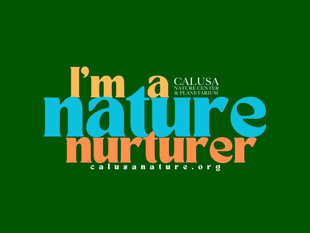 🌿 Black Friday + Giving Tuesday = Double the Impact! 🌿 This Black Friday (Nov. 29), get 20% OFF new memberships and explore everything Calusa Nature Center &amp; Planetarium has to offer—trails, wildlife exhibits, and more! tinyurl.com/yua8e38j
#BlackFridayDeals #GivingTuesday