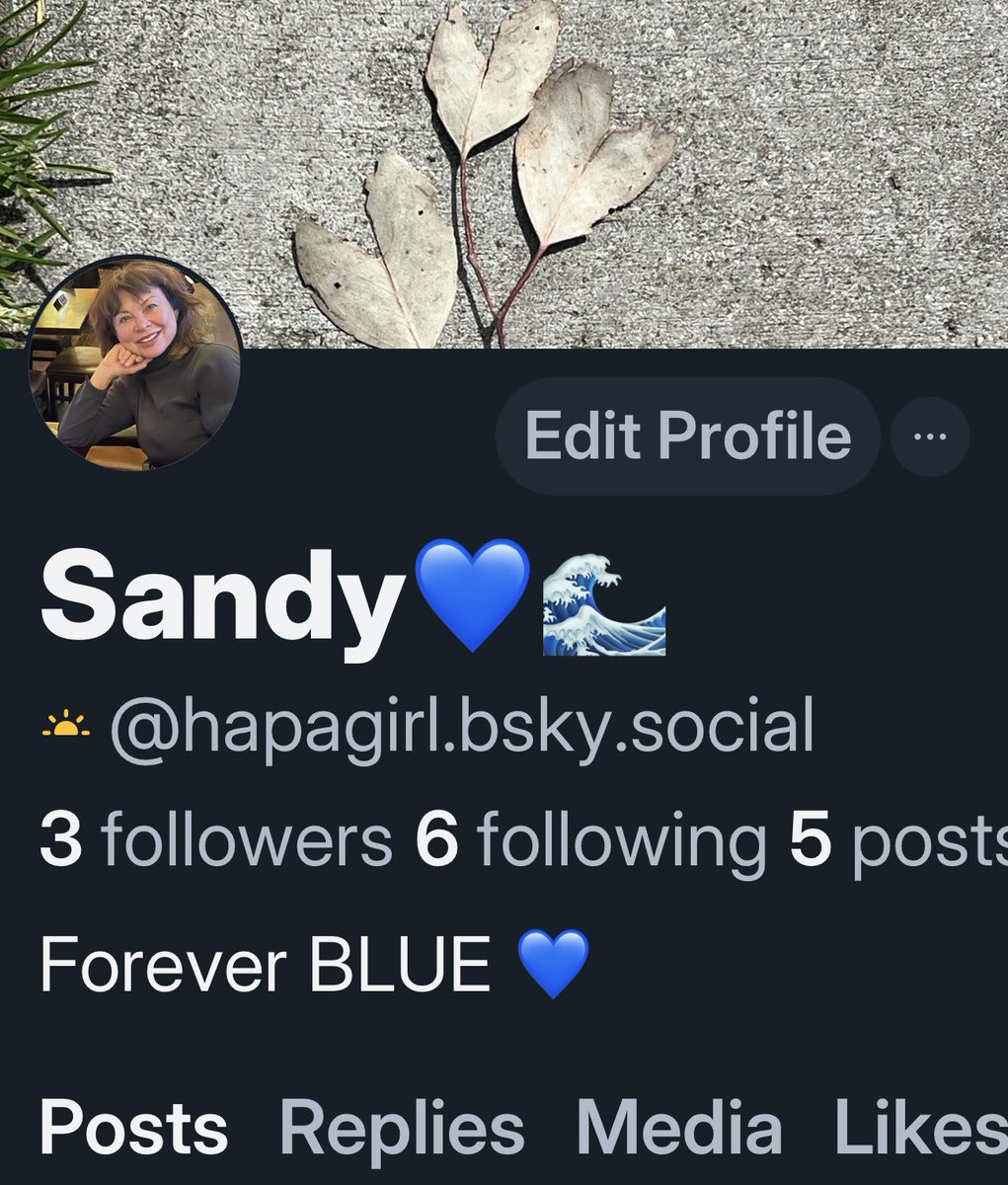 Time to fly! #Migration #Bluesky 🦋