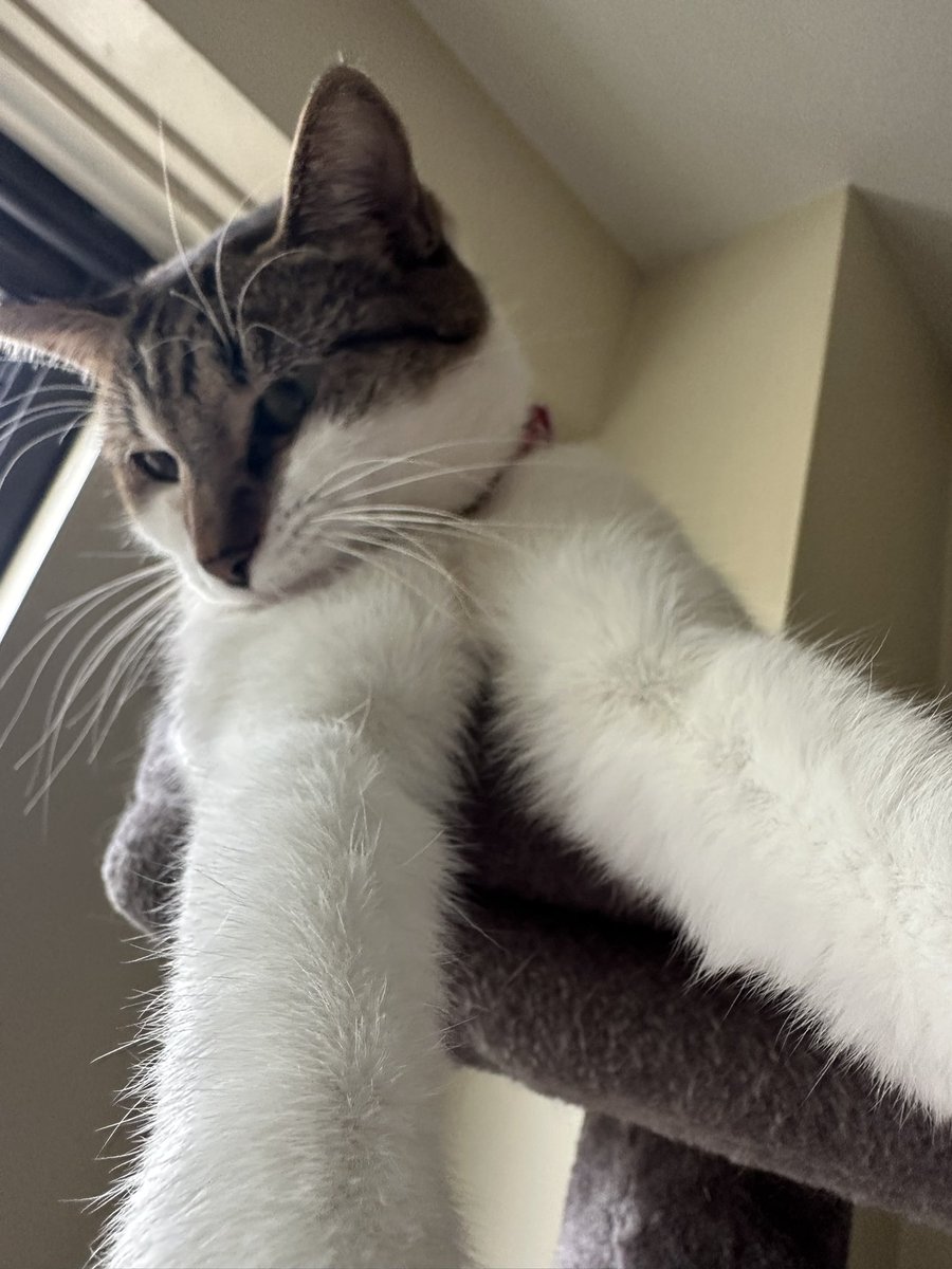 felt cute, might delete later