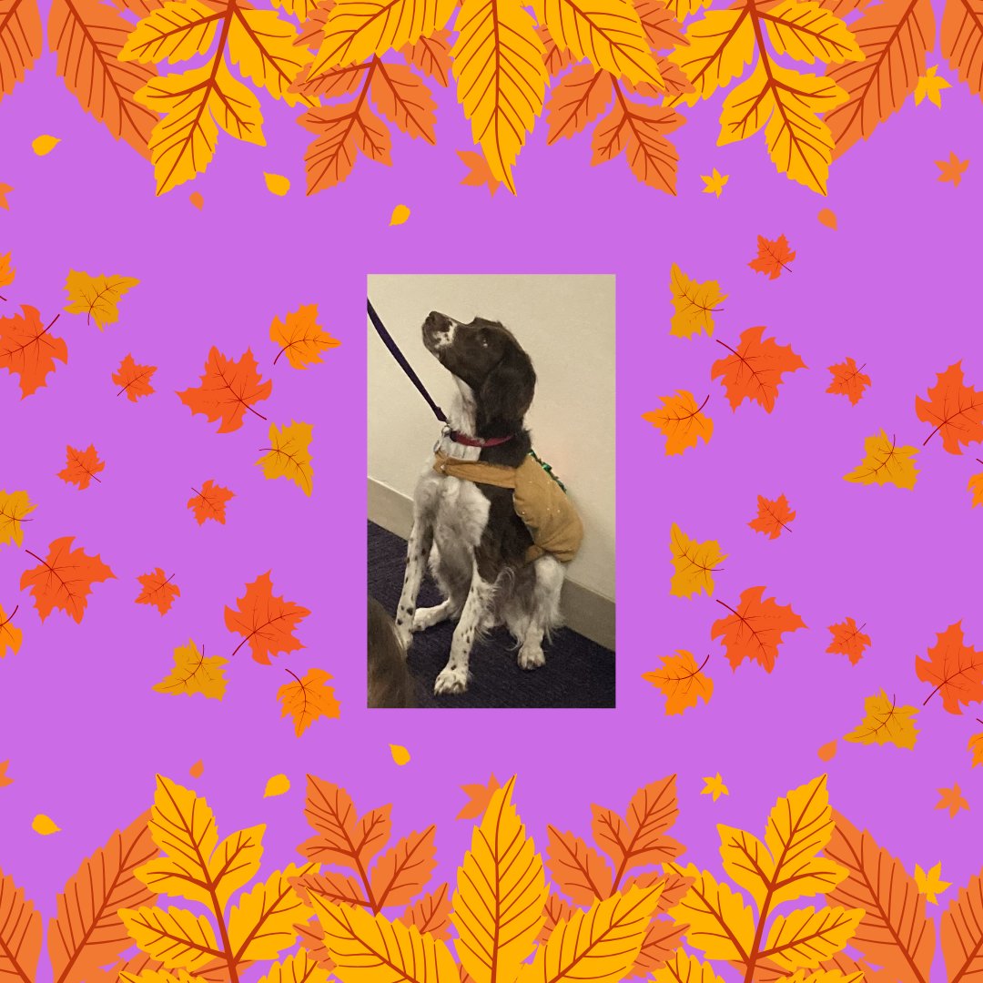 Esther's Friends tweet media