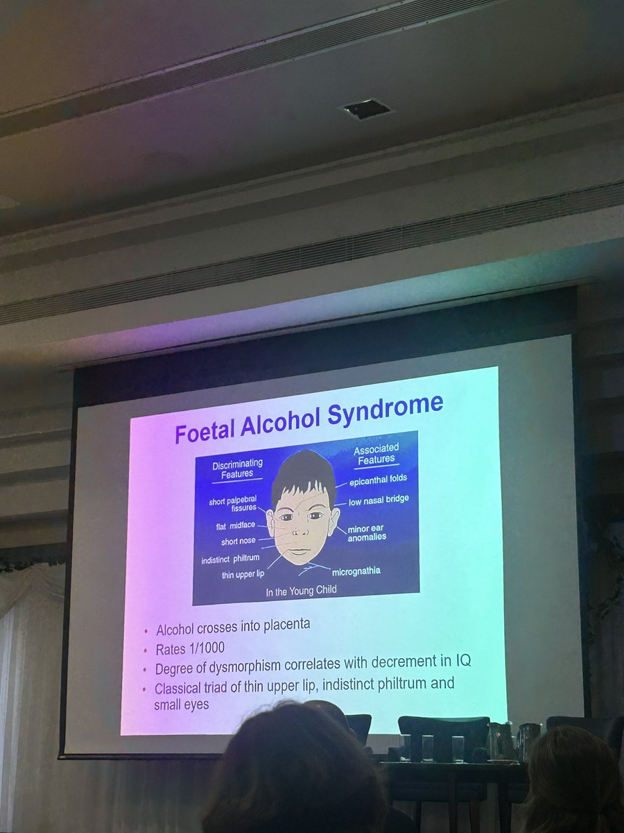 Josie Friel tweet media