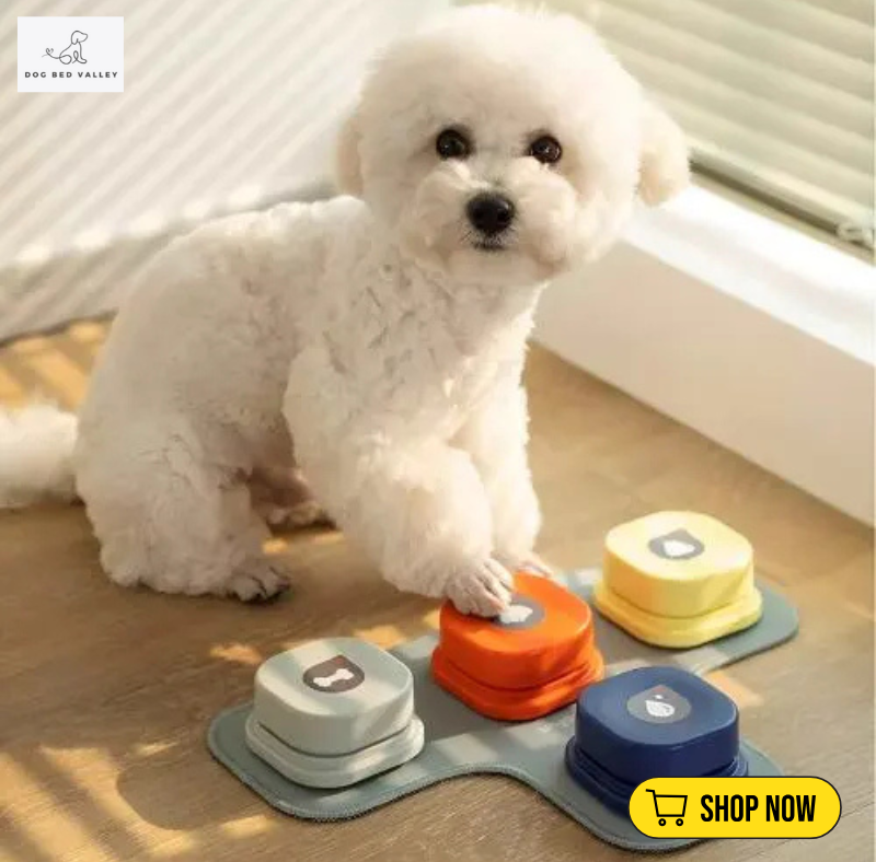 dogbedvalley's tweet photo. 🎉🐕 Unleash your pup's potential with our Trainable Dog Communication Toy! Design custom buttons for your furry friend to help bridge the gap. Imagine the conversations you could have! 👉 What would your dog say?
Shop Now: https://t.co/yI2Uvdp1qF

#DogCommunication https://t.co/w33JaXLpce