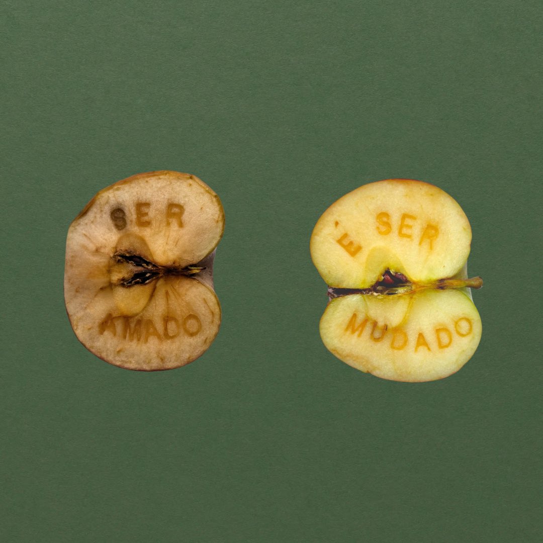 safegreenhouse's tweet image. 🍎