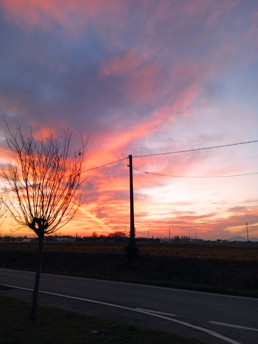 LorenzoPhFreeIn's tweet photo. #sunsetxvibes  #sunset #padova #red https://t.co/6Wp9InebNS