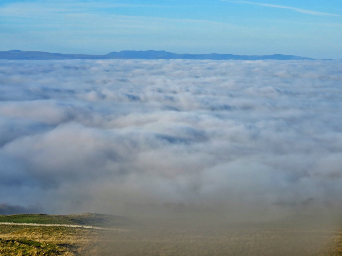 old croft house tweet media