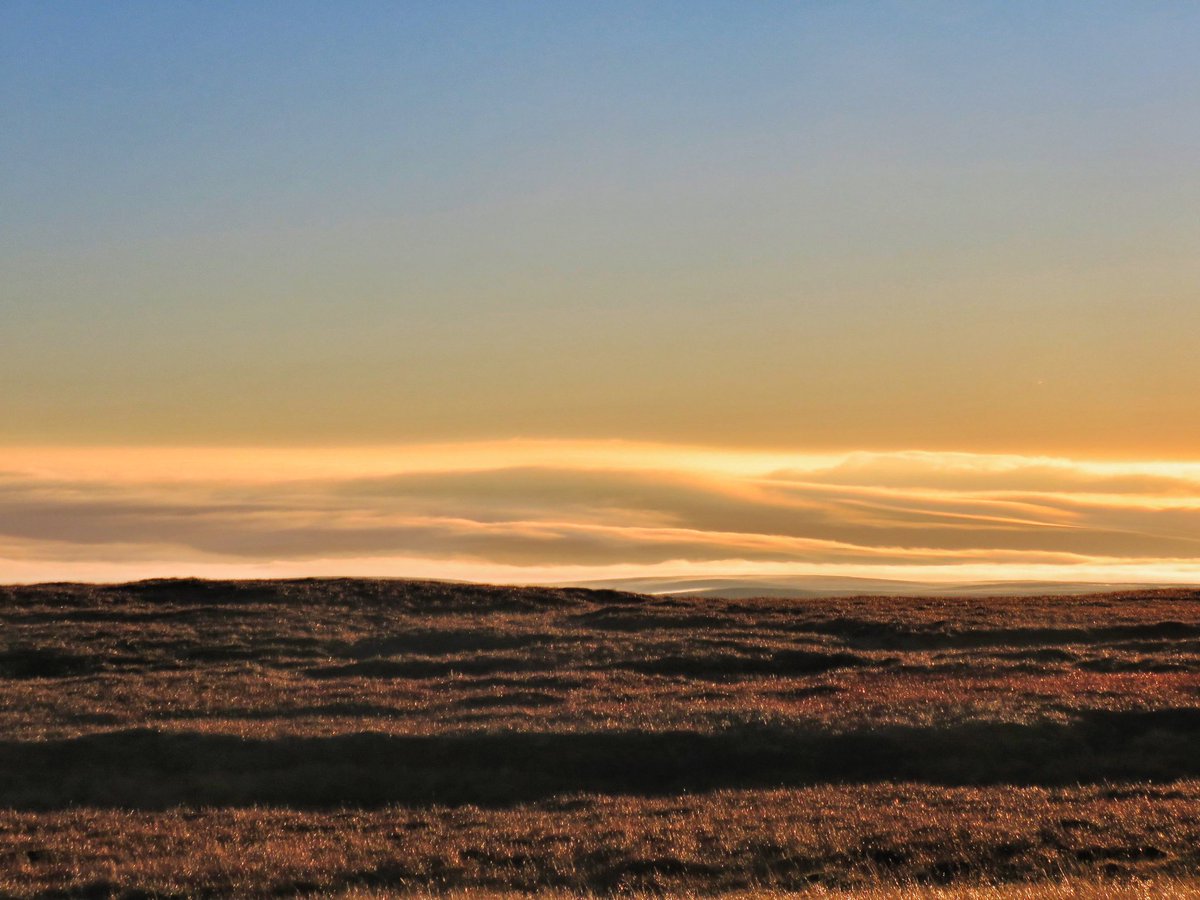 old croft house tweet media