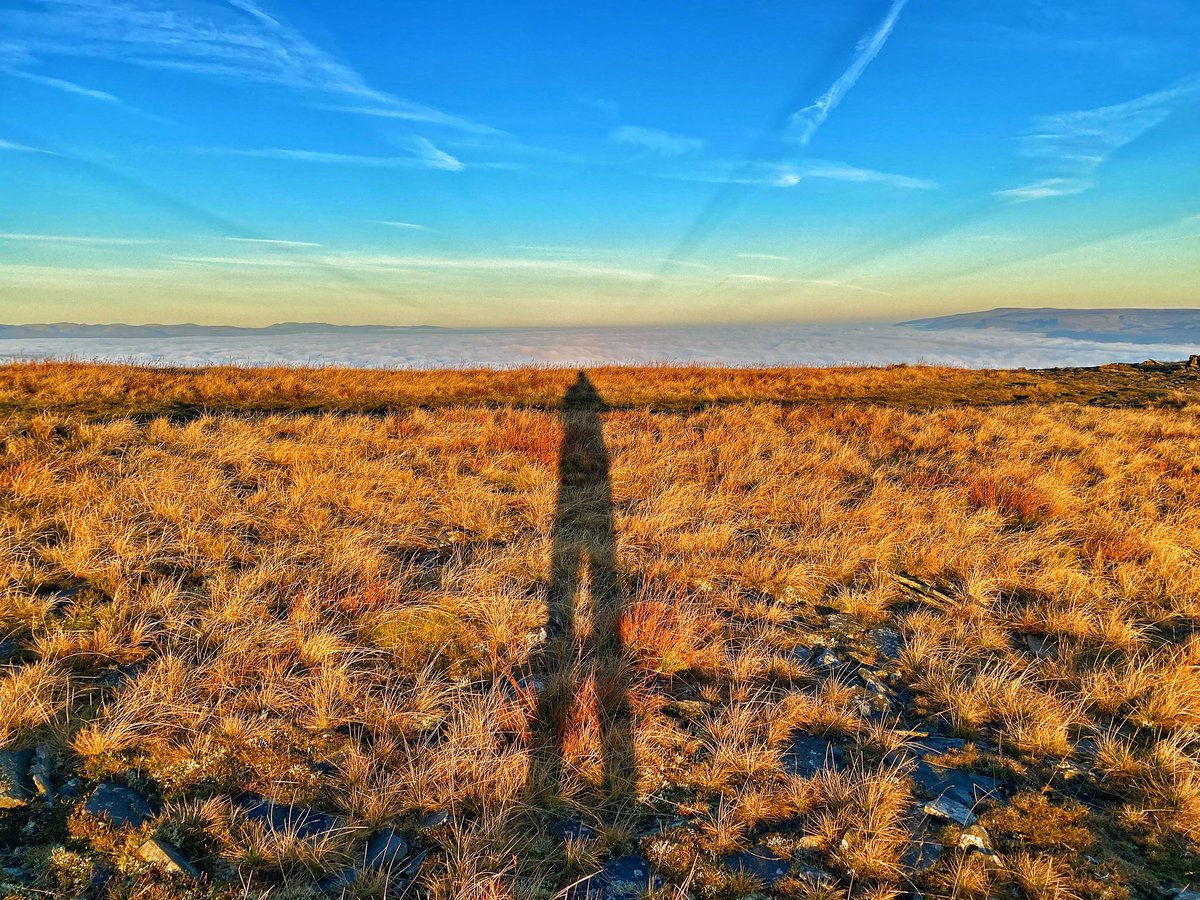 old croft house tweet media