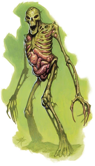 Bone Fox tweet media