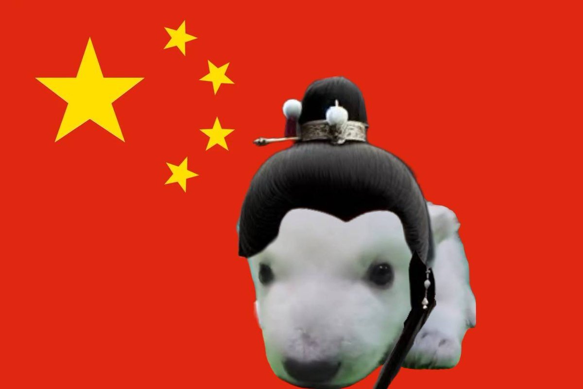 GM 🐻‍❄️

$NORA invites the China whales

Believe 🩶