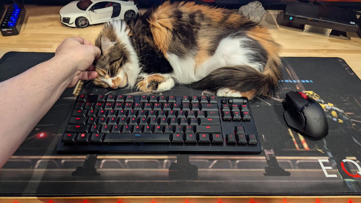 This is my anti mouse-mouse pad warmer