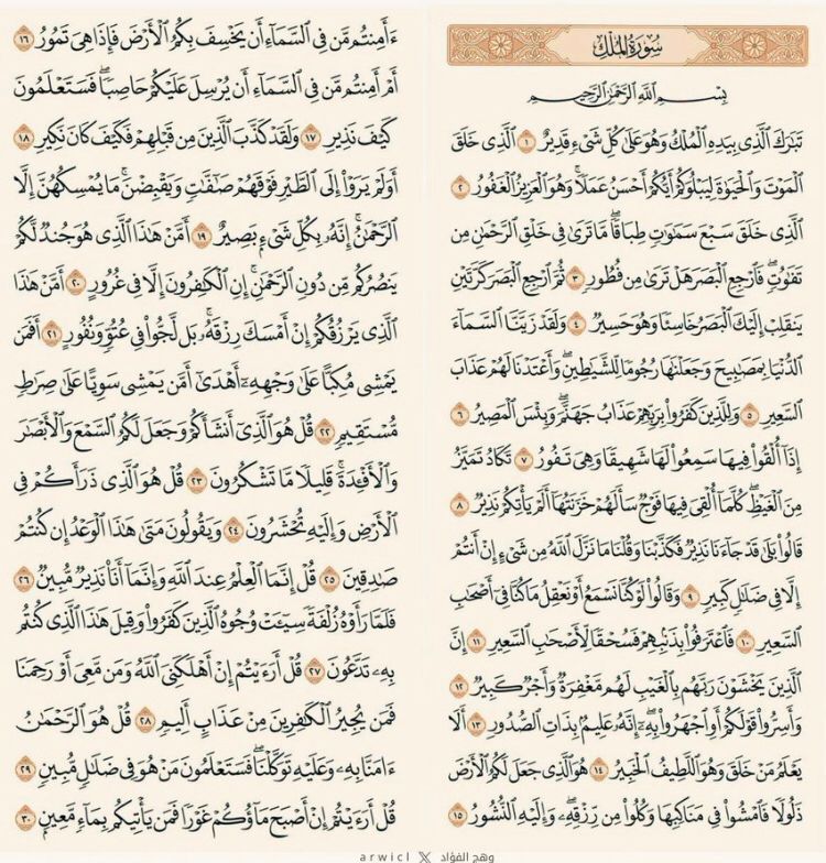 فضل قراءة سورة الملك قبل النوم؛
• تقي قارئها من عذاب القبر، فعن النبي 
-صلى الله عليه وسلم- أنه قال؛
• سورة تبارك هي المانعة من عذاب القبر
• تشفع لصاحبها يوم القيامة
