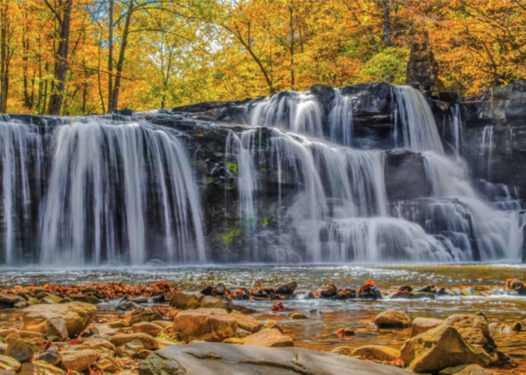 JT Powell tweet media