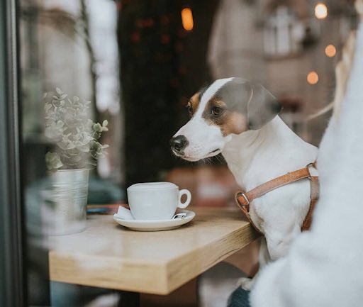 The Yard tweet media