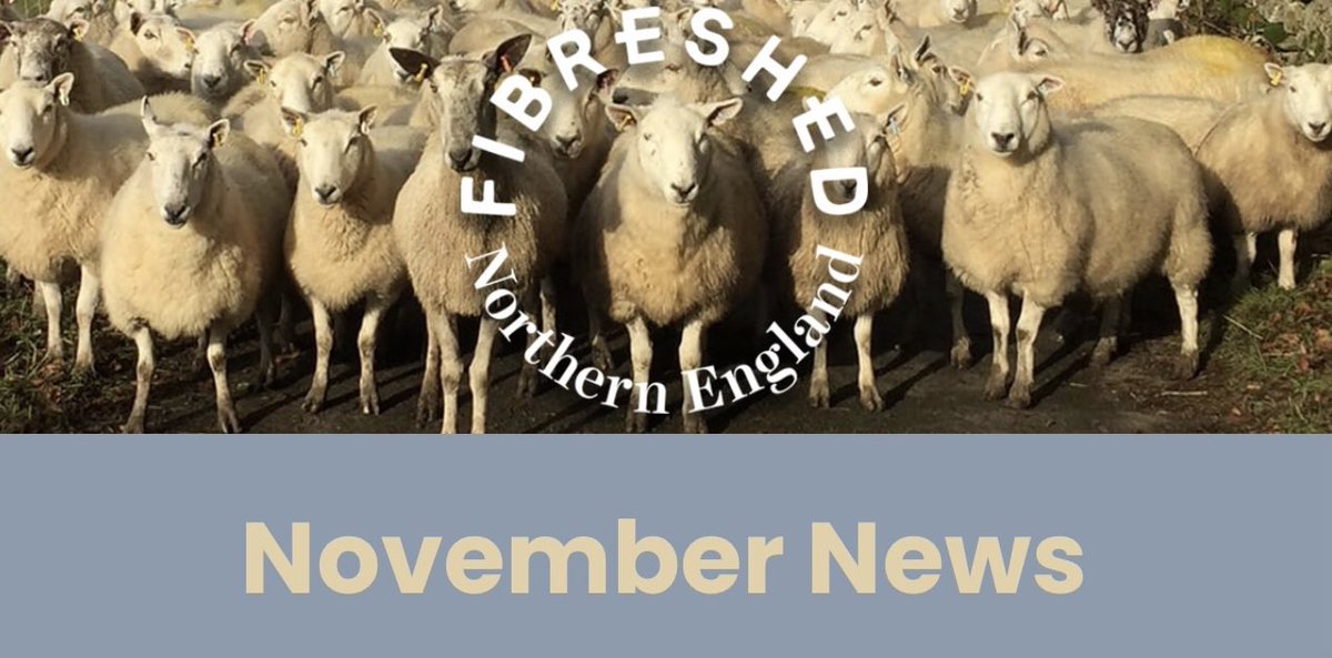 We’re launching our first monthly newsletter TONIGHT at 8pm. Sign up now for upcoming events, featured products and our member showcase - straight into your inbox in just over an hour!
👇👇👇
dashboard.mailerlite.com/forms/1145966/…