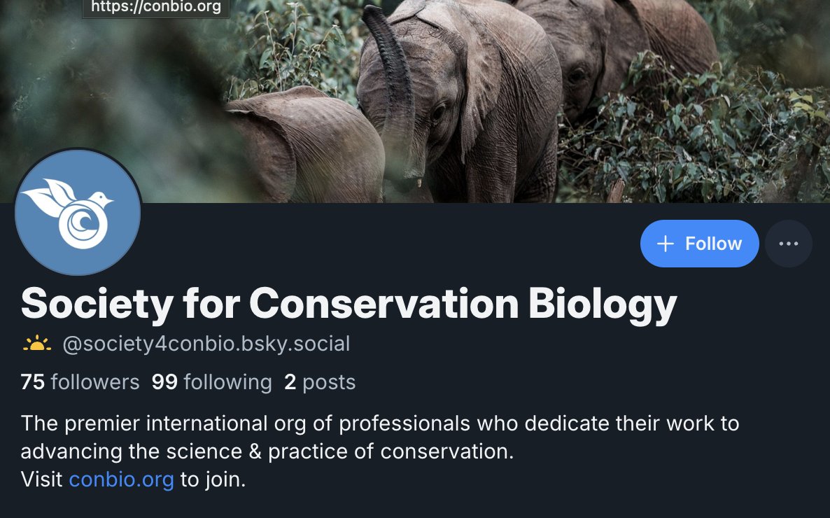 SCB (@society4conbio) on Twitter photo We just joined Blue Sky!
Follow us: @society4conbio.bsky.social to stay up to date on all things SCB, #ICCB and conservation. 
Join us! 
🦧🦎🐠🍄 We just joined Blue Sky!
Follow us: @society4conbio.bsky.social to stay up to date on all things SCB, #ICCB and conservation. 
Join us! 
🦧🦎🐠🍄