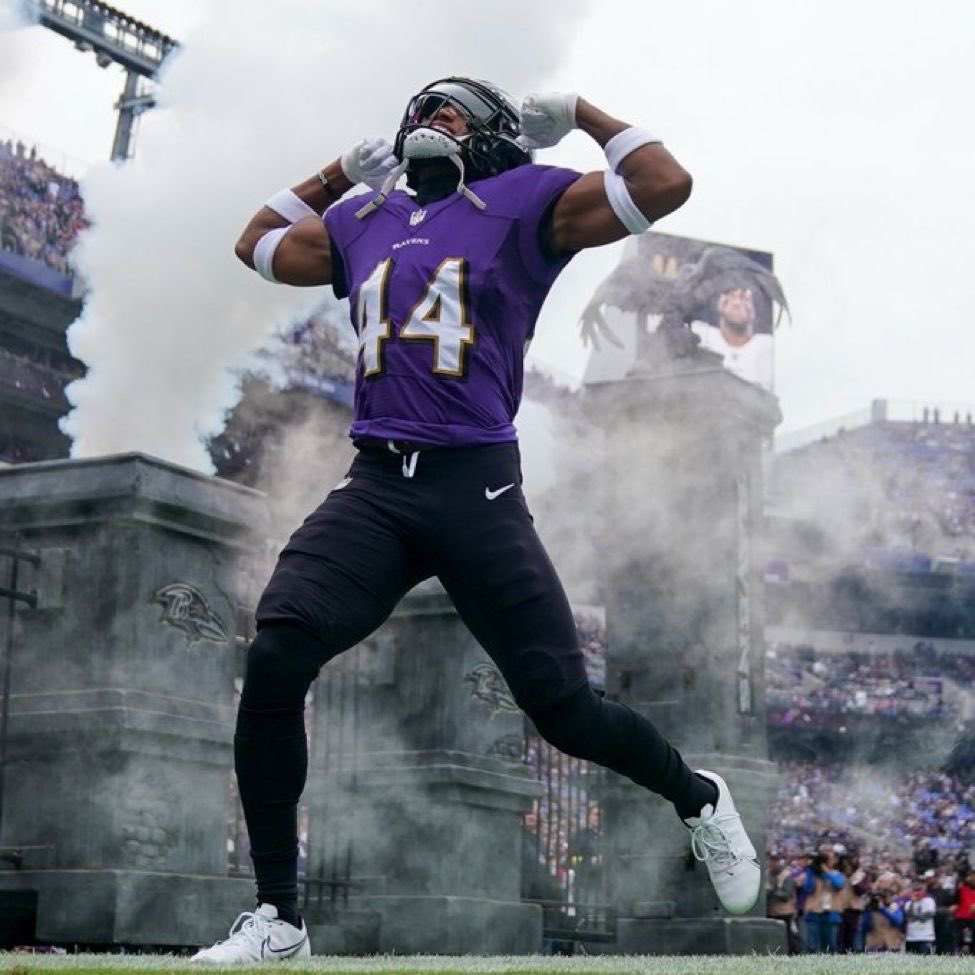 The Ravens Realm tweet media