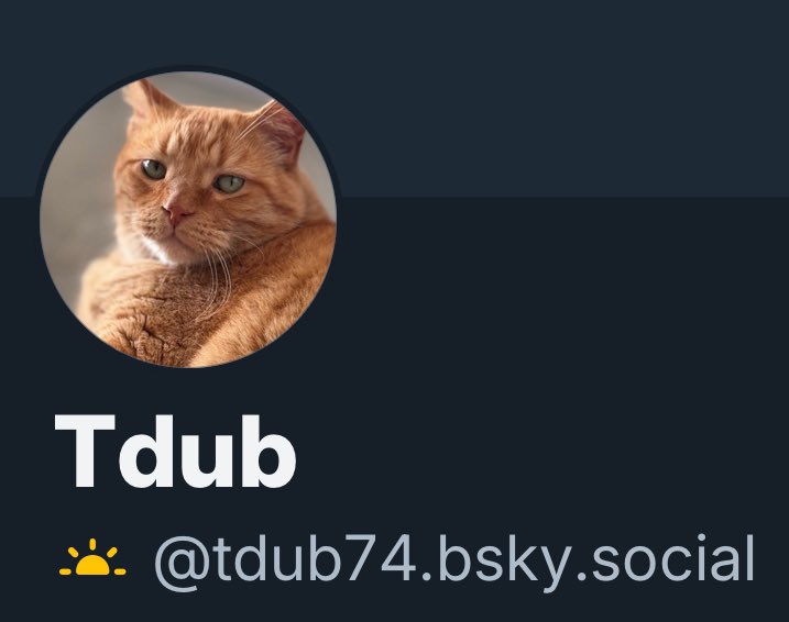 Terrie Winkle tweet media