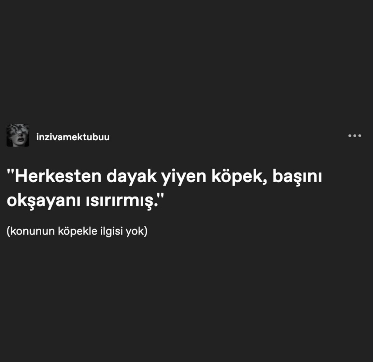 inziva, (@inzivamektubu) on Twitter photo 