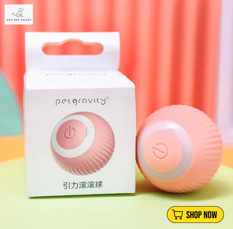 dogbedvalley's tweet photo. 🐾 Is your dog restless? Keep them entertained with the Auto Rolling Selfoving Dog Toy! Perfect for jumping, rolling, tumbling fun—ors or out! What's your dog's favorite time activity? Join convo! 👇

Shop Now: https://t.co/fOz1ywp0Uj https://t.co/S7wfvsIZht