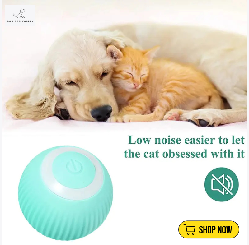dogbedvalley's tweet photo. 🐾 Is your dog restless? Keep them entertained with the Auto Rolling Selfoving Dog Toy! Perfect for jumping, rolling, tumbling fun—ors or out! What's your dog's favorite time activity? Join convo! 👇

Shop Now: https://t.co/fOz1ywp0Uj https://t.co/S7wfvsIZht