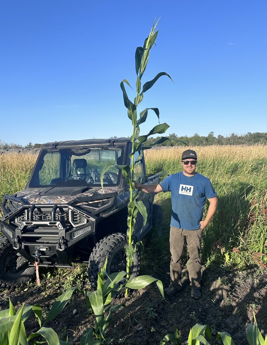 Rutherford Farms (@rutherfordfarms) on Twitter photo 🌽Northstar Silage Corn 🌽 is the game-changer you need! It ensiles faster than grain corn hybrids, helping you preserve quality and maximize feed efficiency.
Don’t miss out on early prepay discounts—ending soon! <a href="/NSGeneticsCA/">NorthStar Genetics</a> 🌽Northstar Silage Corn 🌽 is the game-changer you need! It ensiles faster than grain corn hybrids, helping you preserve quality and maximize feed efficiency.
Don’t miss out on early prepay discounts—ending soon! <a href="/NSGeneticsCA/">NorthStar Genetics</a>