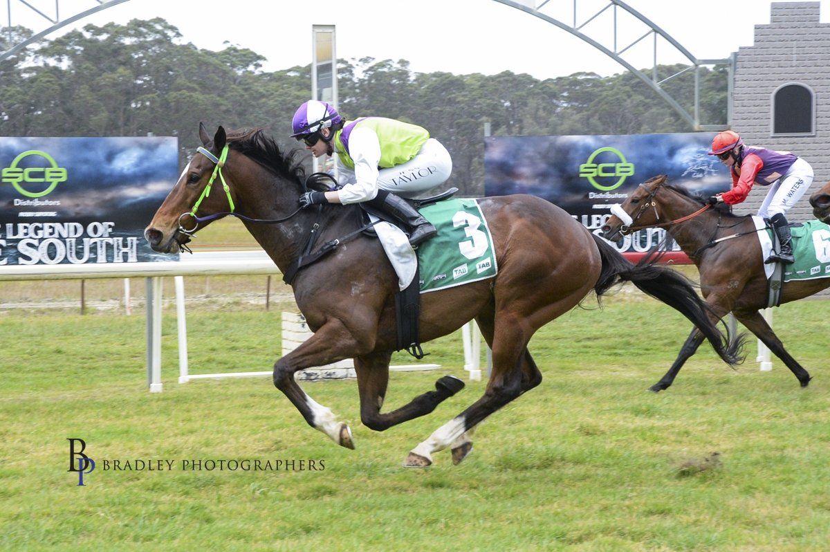 We have the name of the winner of the Pryde’s EasiFeed Country Trainer Of The Month Award for October. It goes to popular Queanbeyan trainer Joe Cleary.
buff.ly/3YKfDyY
<a href="/PrydesEasiFeed/">Pryde's EasiFeed</a> #tappy #johntappracing #thoroughbreds #horseracing #countryracehorsetrainer