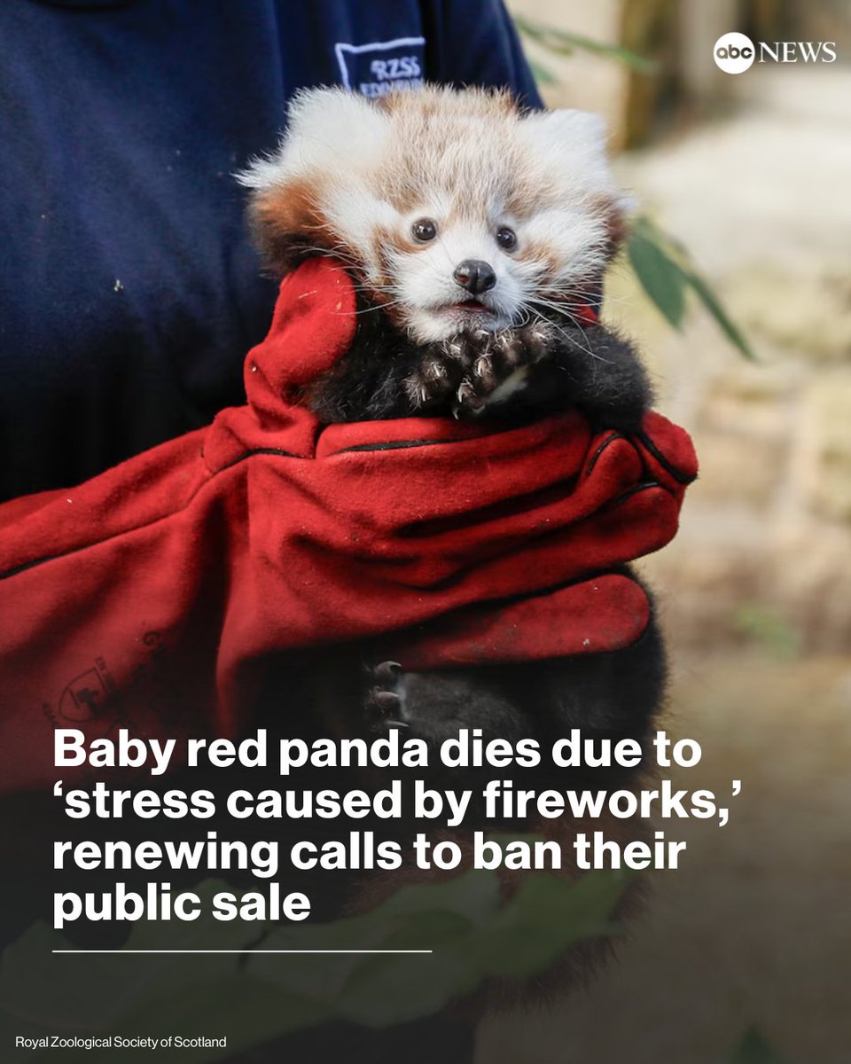 ABC News tweet media