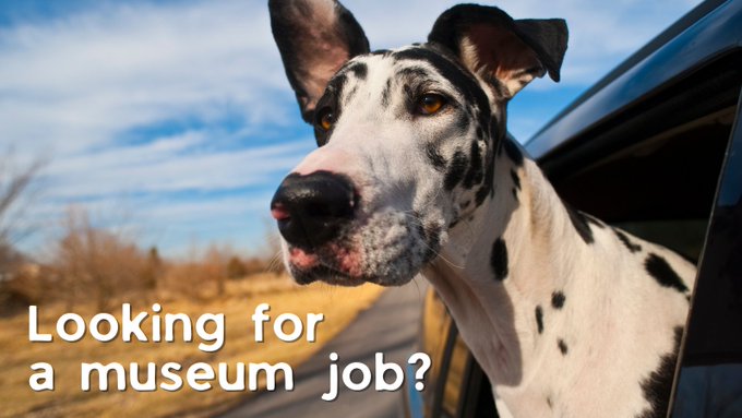 PA_Museums's tweet photo. Job posting: Associate Curator, African American History, The Senator John Heinz History Center, Pittsburgh https://t.co/YPtSGwfsMl https://t.co/B8GflSRHor