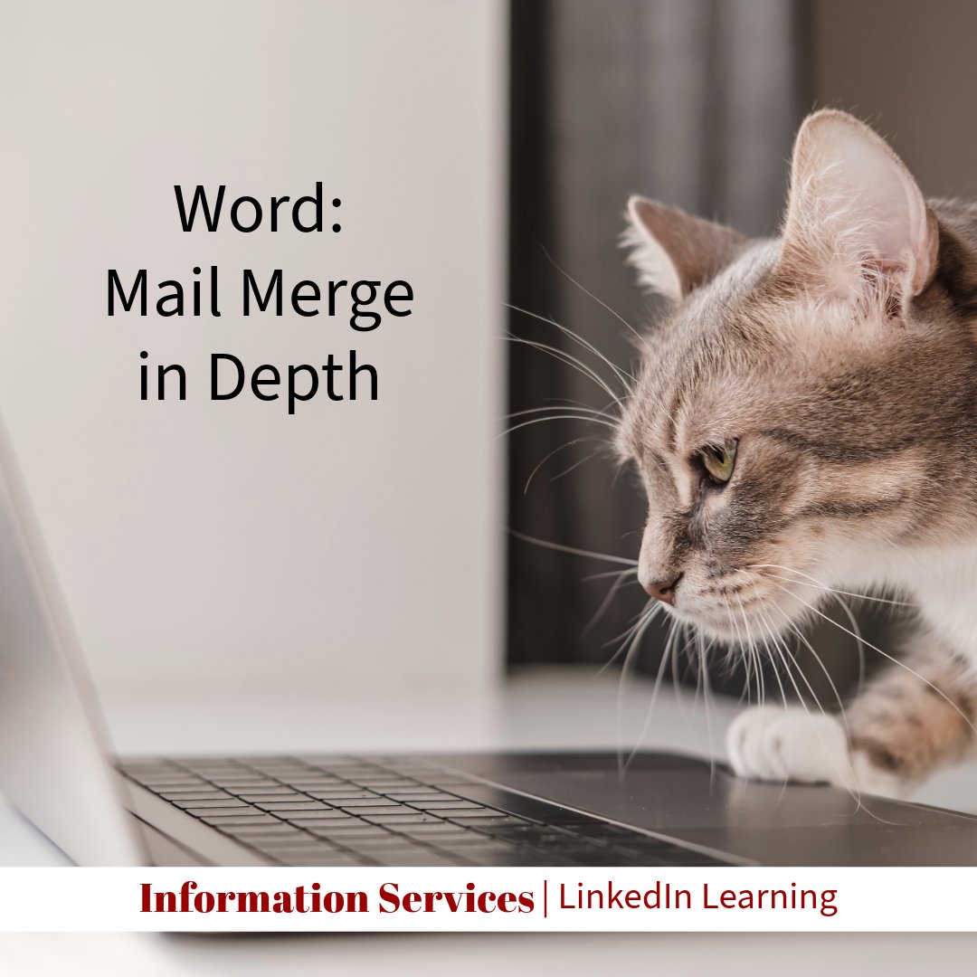 LinkedIn Learning: Word: Mail Merge in Depth

In this course, Jess Stratton shows you everything you need to know to use Mail Merge effectively with ease.

Course Duration: 1 hour, 4 minutes
Course Link: sl.richmond.edu/vP