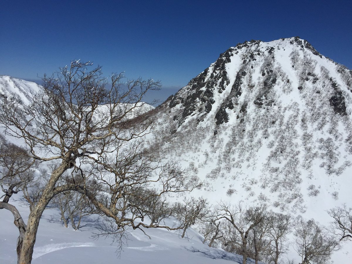 skijapantoday's tweet photo. Lazer eyes skiing is always the best. 
Especially when it’s in a beautiful area. 
#myoko #bitcoinaccepted #bitcoin
My #BitcoinPrediction is that it will keep doing what it does and we will enjoy life more! https://t.co/qFnWNNPT8A