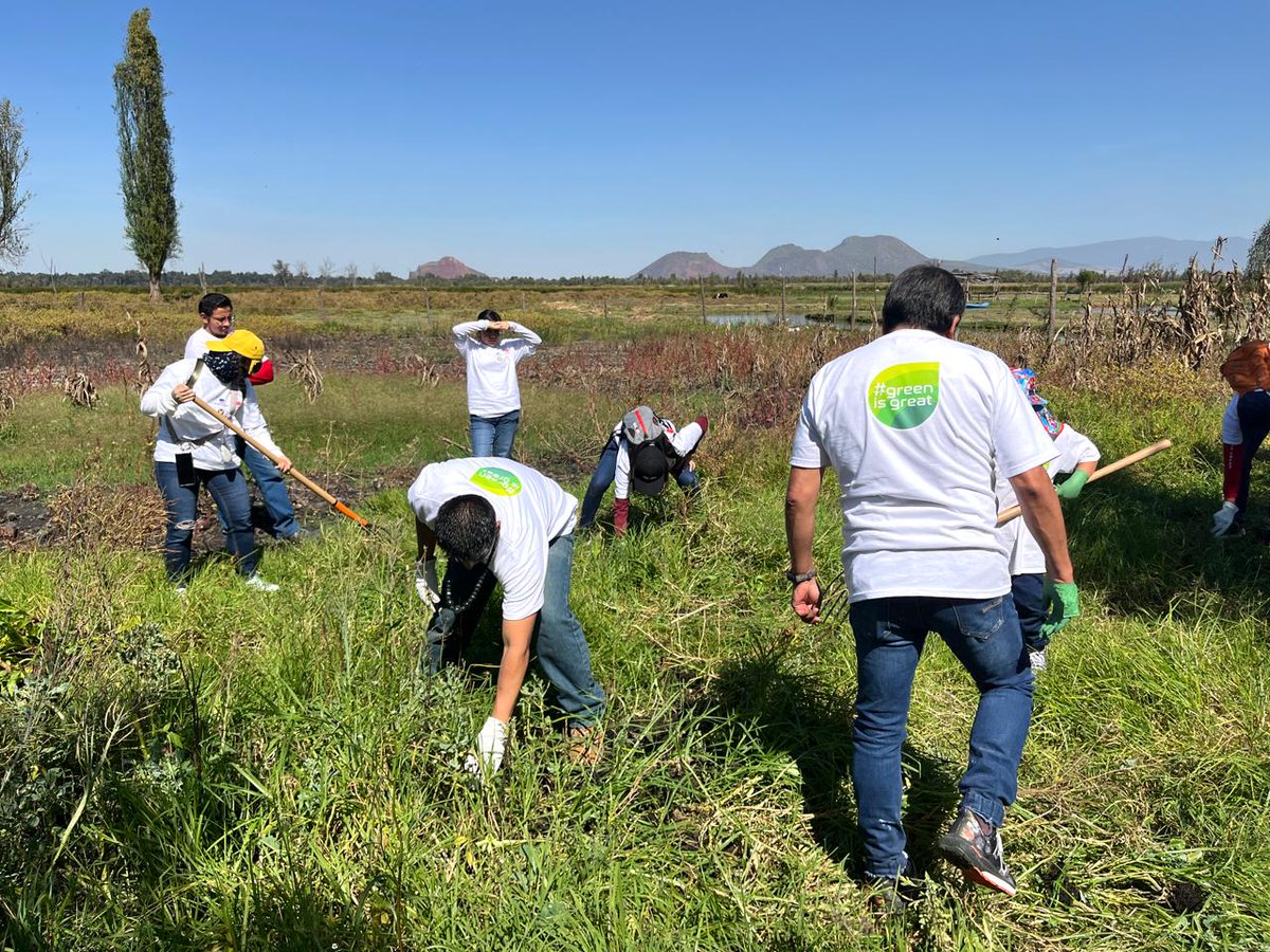 Geoquest_MEX's tweet photo. Así vivimos la 3a edición de Xochimilco Sostenible el pasado sábado 9 de noviembre. Gracias a la dedicación de quienes formaron parte de esta actividad. ¡Juntos hacemos el cambio! #XochimilcoSostenible #ProtejamosElPlaneta #Freyssinet #TierraArmada https://t.co/TvcOfiiuZz