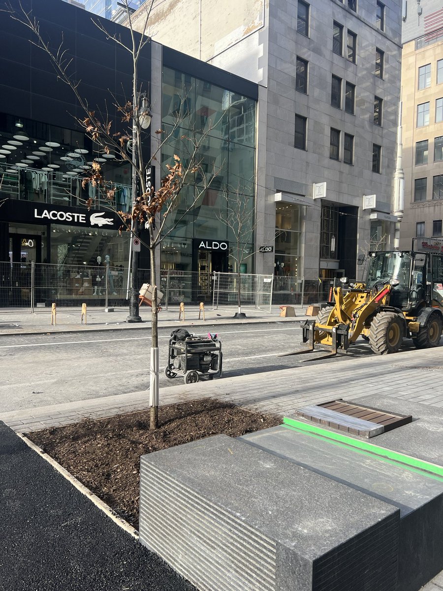 pascalmcduff's tweet photo. Le tronçon en cours de réaménagement rue Ste-Catherine contiendra de grandes fosses d’arbre et de généreux bancs publics en granit. C’est une belle amélioration comparativement à la phase 1. https://t.co/oqR4ztLf6p