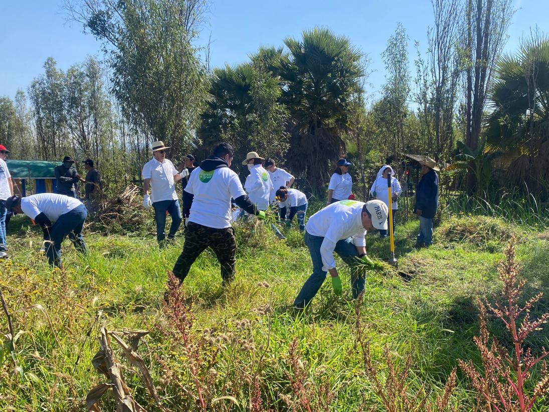 Geoquest_MEX's tweet photo. Así vivimos la 3a edición de Xochimilco Sostenible el pasado sábado 9 de noviembre. Gracias a la dedicación de quienes formaron parte de esta actividad. ¡Juntos hacemos el cambio! #XochimilcoSostenible #ProtejamosElPlaneta #Freyssinet #TierraArmada https://t.co/TvcOfiiuZz
