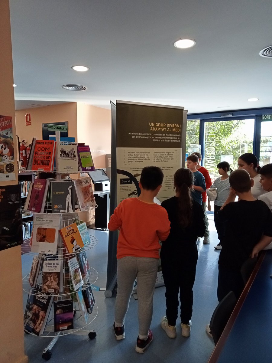 bmartorelles's tweet photo. Aquesta tarda ens ha visitat l'alumnat de 5è i 6è de l'escola @pruneres, que estan treballant el #riubesos. 
Han extret informació de les exposicions de la @FundacioRivus i el @consorcibesos que fins avui hem acollit a la biblioteca i els hem convidat a tornar!🤗🏞️📚 https://t.co/15r89ptWcj