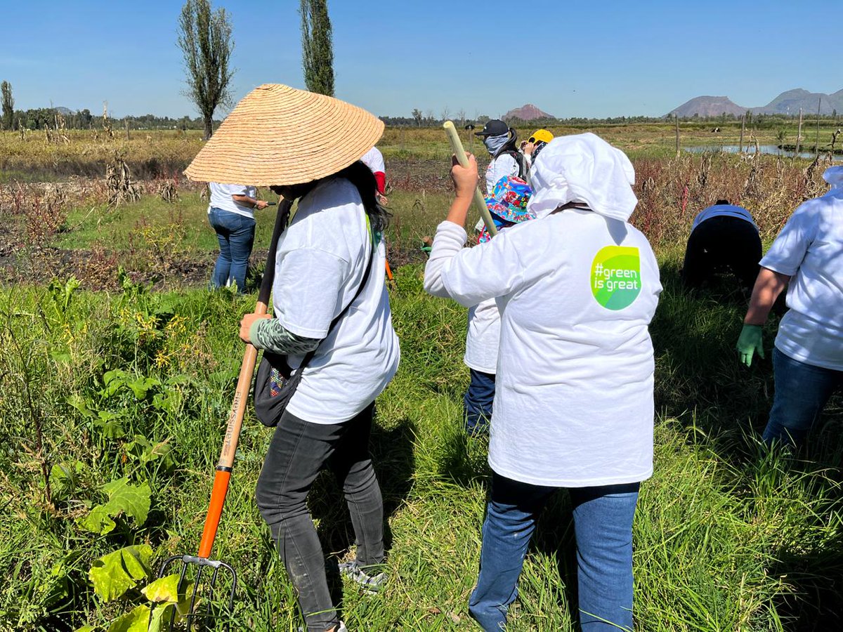 Geoquest_MEX's tweet photo. Así vivimos la 3a edición de Xochimilco Sostenible el pasado sábado 9 de noviembre. Gracias a la dedicación de quienes formaron parte de esta actividad. ¡Juntos hacemos el cambio! #XochimilcoSostenible #ProtejamosElPlaneta #Freyssinet #TierraArmada https://t.co/TvcOfiiuZz