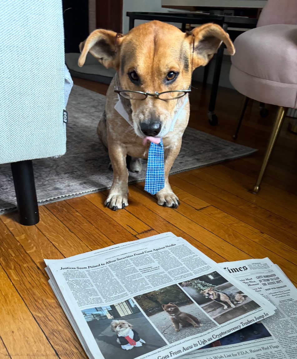 Sophie Vershbow tweet media