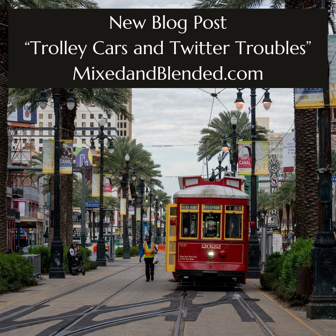 buff.ly/4e8cY9g
#interracialfamily #interracialcouple #blendedfamily #diversity #representation #writing #writingcommunity #writer #writers #novel #shortfiction #amquerying #teach #teaching #teacher #englishteacher #highschool