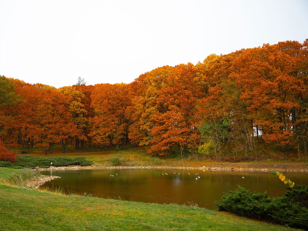 Alumni Association of the University of Michigan tweet media