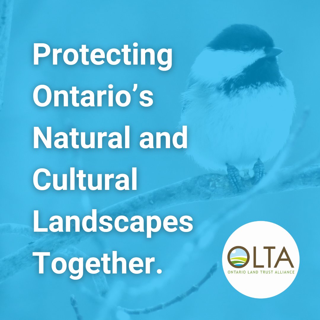 Thanks to your support this past year, OLTA helped land trusts protect 20,600 new hectares of diverse lands, supported 38 unique land securements, and trained 450+ conservation pros! With your continued commitment, we can achieve even more this year!🌲🌳💚 #ConservationMatters