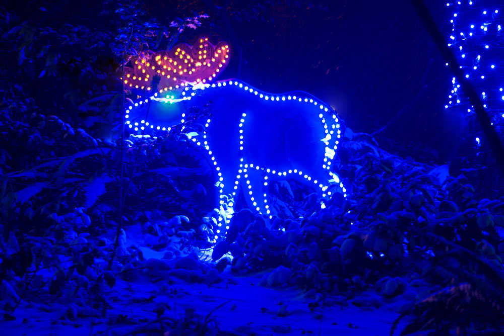 ExploreWAPark's tweet photo. BrewLights is this Friday and Saturday at the @OregonZoo featuring over 50 local breweries and cideries! Make the most out of your trip and take @trimet. π
#oregonzoo #washingtonpark #portland #oregon #parks #brewlights https://t.co/MMDuFxBuhw