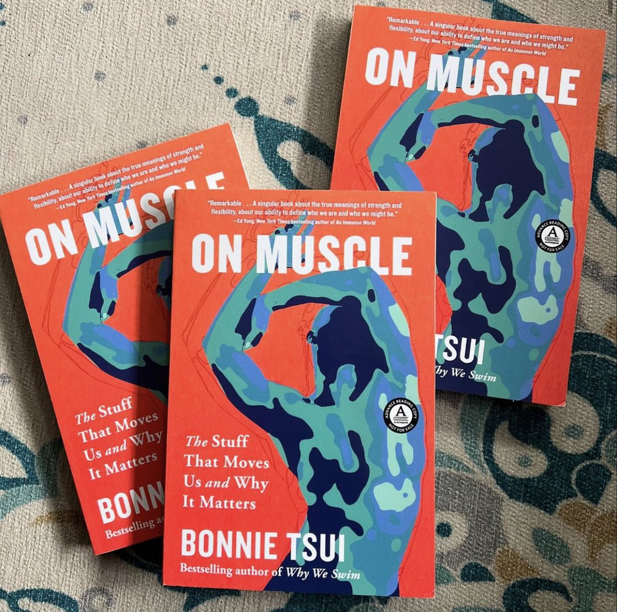 Thrilled to share the cover I designed for On Muscle by Bonnie Tsui! Huge thanks to <a href="/bonnietsui/">Bonnie Tsui</a> and the team at Hachette. Bonnie’s writing is one-of-a-kind—don’t miss it! Pre-order now for the April 25 release, and check out Why We Swim too! #bookcover #OnMuscle #bonnietsui
