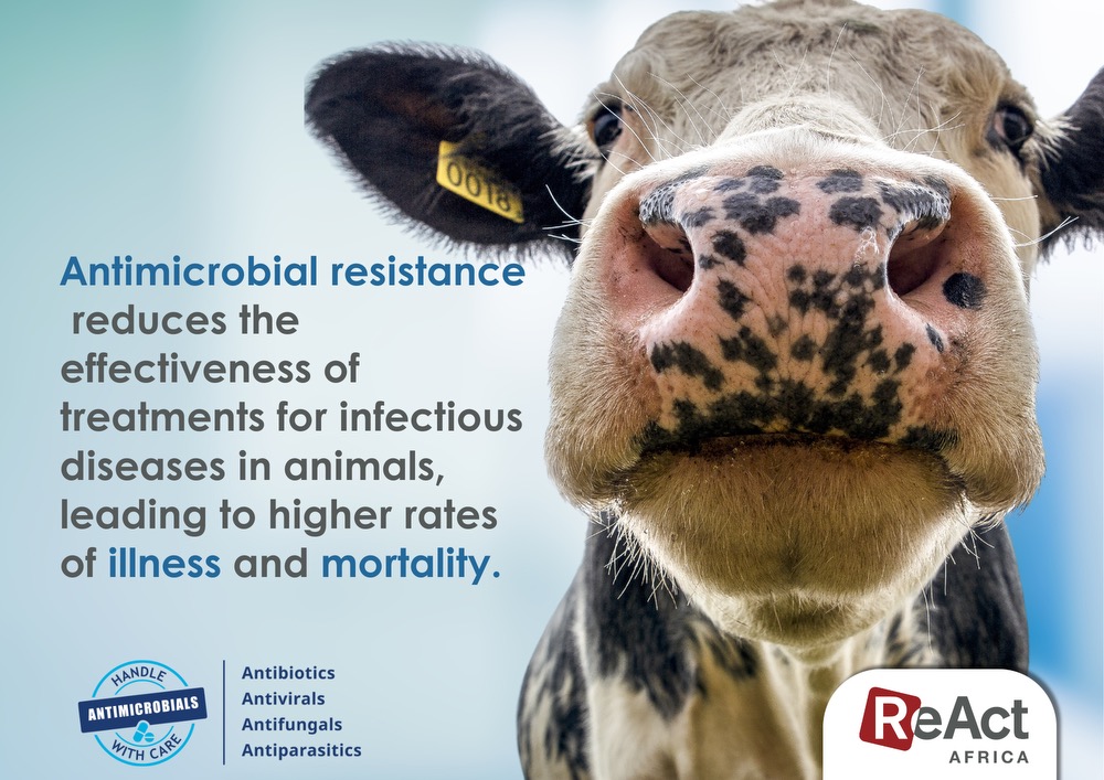 ReAct Africa Network (RAN) (@reactafrica_ran) on Twitter photo 🌿AMR affects all life. When animals get sick, resistant infections can spread even faster.
Let’s work for a healthier planet for all!
<a href="/reactgroup/">ReAct - Action on Antibiotic Resistance</a> <a href="/WHO/">World Health Organization (WHO)</a> <a href="/FAO/">Food and Agriculture Organization</a> <a href="/UNEP/">UN Environment Programme</a> <a href="/WOAH/">World Organisation for Animal Health</a>
#WAAW2024 #EducateAdvocateAct #AMR
#WorldAMRawarenessWeek 🌿AMR affects all life. When animals get sick, resistant infections can spread even faster.
Let’s work for a healthier planet for all!
<a href="/reactgroup/">ReAct - Action on Antibiotic Resistance</a> <a href="/WHO/">World Health Organization (WHO)</a> <a href="/FAO/">Food and Agriculture Organization</a> <a href="/UNEP/">UN Environment Programme</a> <a href="/WOAH/">World Organisation for Animal Health</a>
#WAAW2024 #EducateAdvocateAct #AMR
#WorldAMRawarenessWeek