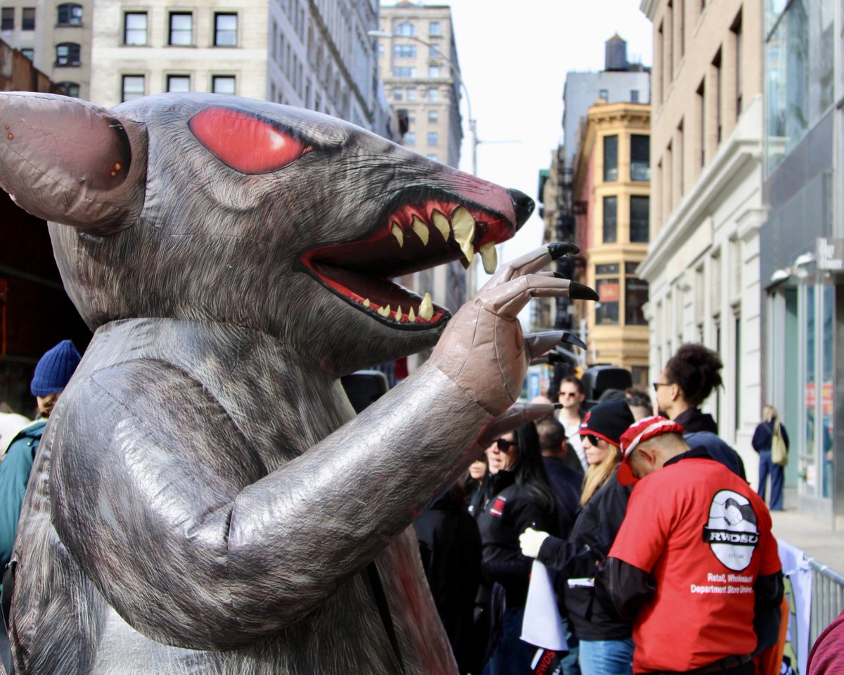 Barnes & Noble Union tweet media