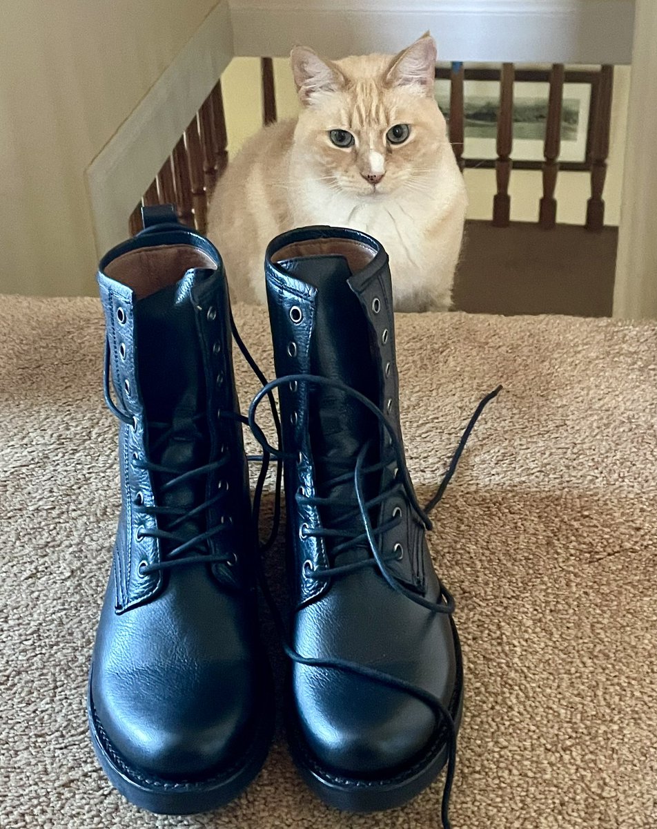 The latest issue of Life With Riley is out in the world. This one is about recent events, Those People, Peter Carr, Emily Dickinson and Taylor Swift. It also includes a giveaway. Subscribe if you haven't. It's free! 

marycamarillo.substack.com/p/these-days