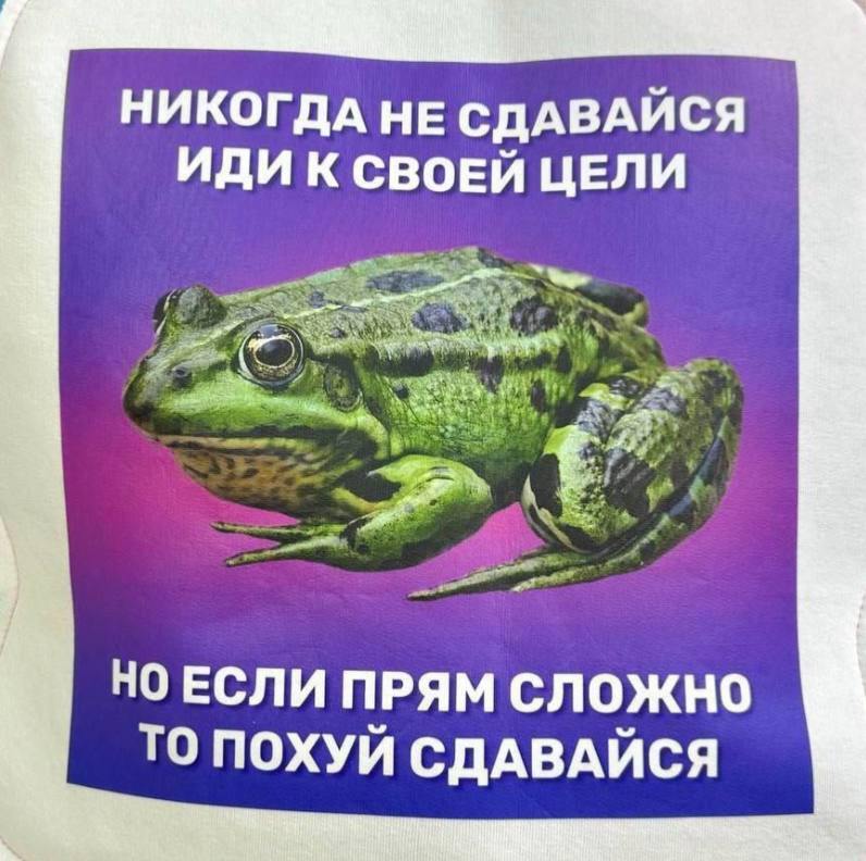 oskorbitelno's tweet image. 