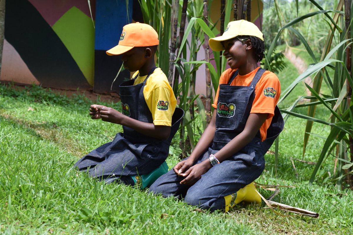 coolfarming's tweet photo. Our little farmers are almost back on your screens! Ready to tackle new challenges and get their hands in the soil. Who else is excited to see what they’ll grow? 🌾 
@KaritasKarisim2 @SygniaMediaTV 
#LittleFarmersAfrica #FarmKids https://t.co/nGA9sC8EDD
