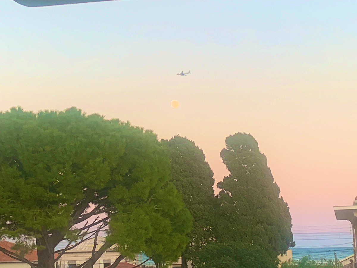 ntjoel_19's tweet photo. Ce moment parfait où la pleine lune et un avion croisent leur chemin, avec la mer et un ciel en dégradé de couleurs pour toile de fond. #InstantPoétique #Crépuscule https://t.co/BVNTlEyciw